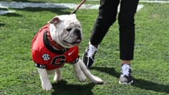 New UGA Football Target Details Offer from Kirby Smart And The 'Dawgs