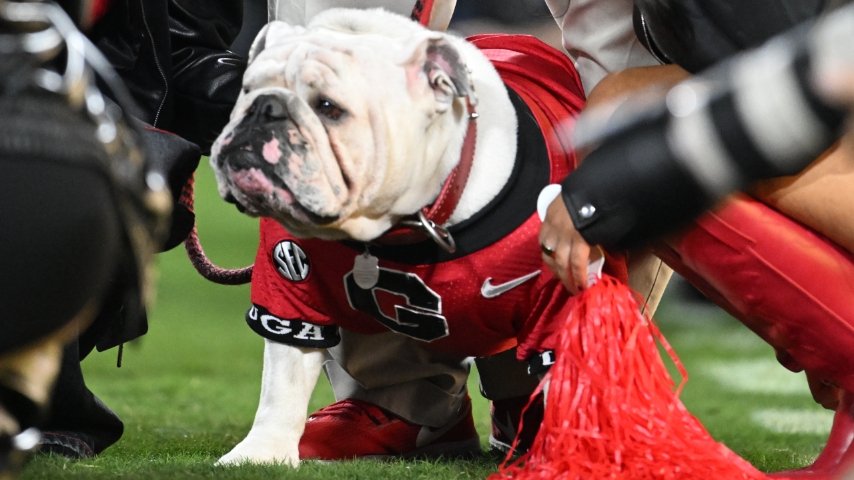 Insider: UGA Football Defensive Line Recruiting Notes